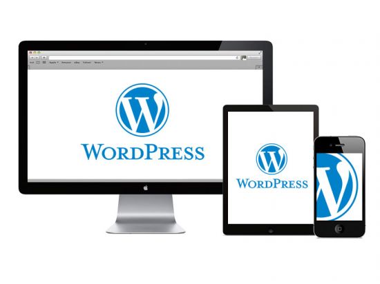 WordPress™